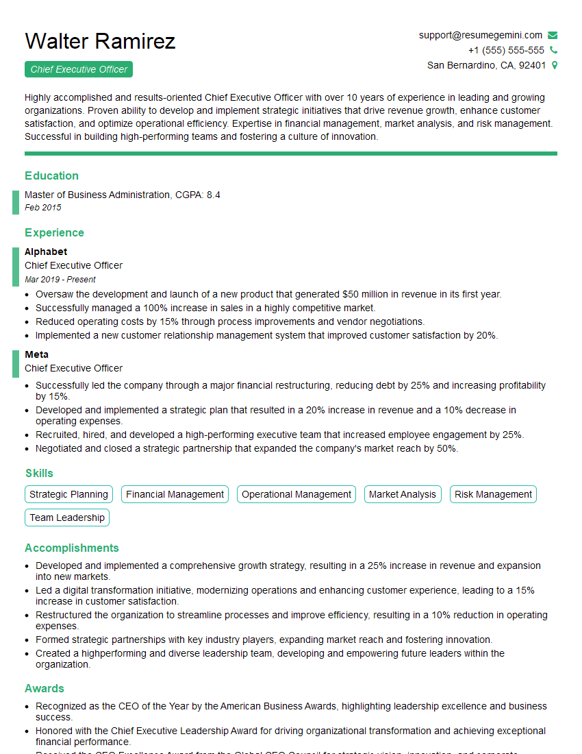 Chief Executive Officer Resume Template for Team Building and Leadership Interview