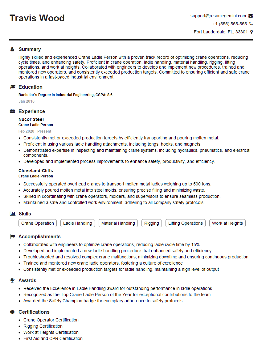 Crane Ladle Person Resume Template by ResumeGemini